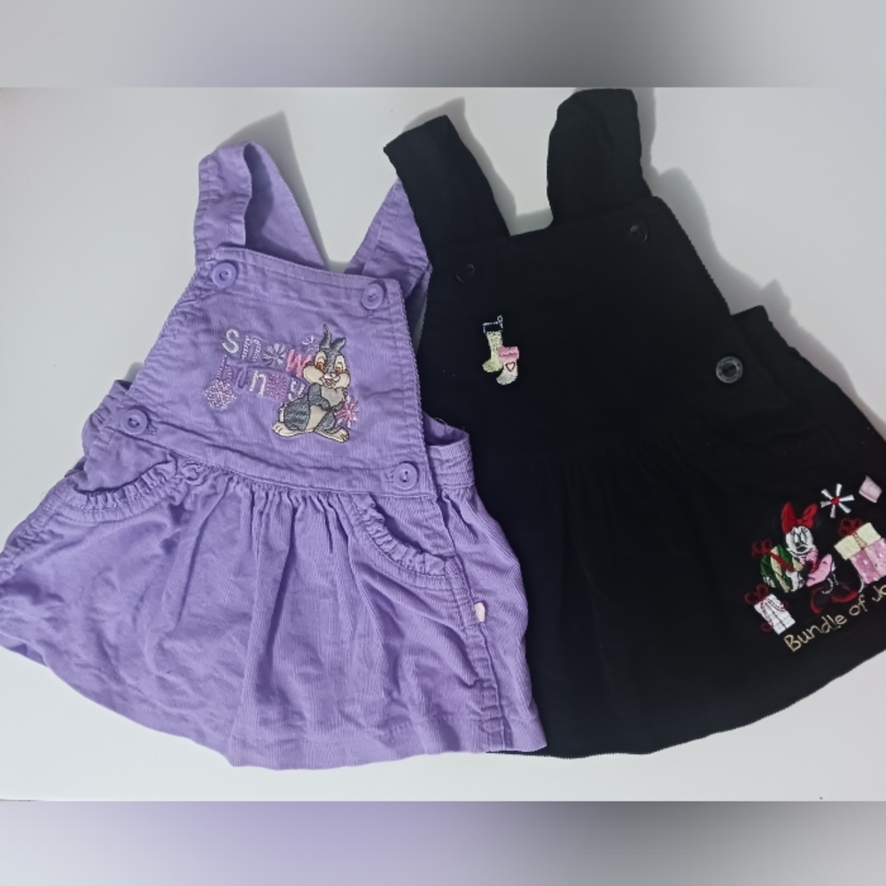2 Disney garden-style dresses with embroidered design